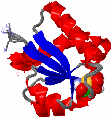 Image NMR Structure - all models