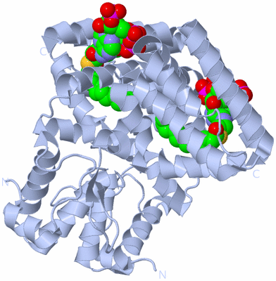 Image Biological Unit 1