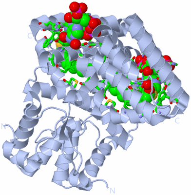 Image Biol. Unit 1 - sites