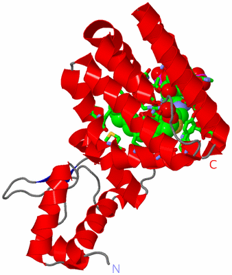 Image Asym. Unit - sites