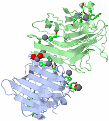 Image Asym./Biol. Unit - sites