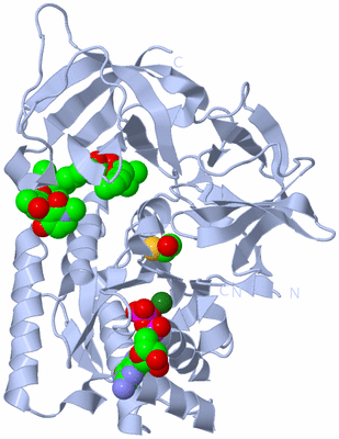 Image Biological Unit 1