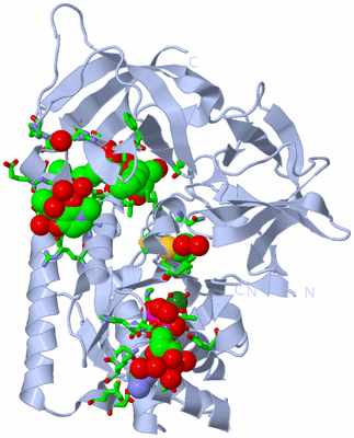 Image Biol. Unit 1 - sites