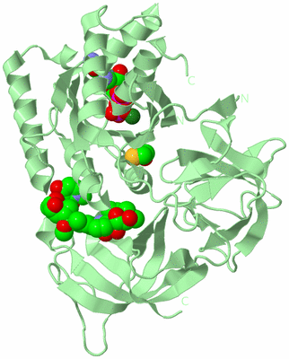 Image Biological Unit 2