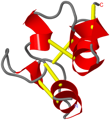 Image NMR Structure - model 1