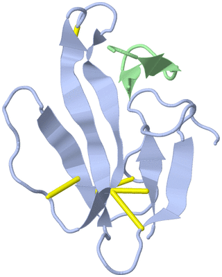 Image NMR Structure - model 1