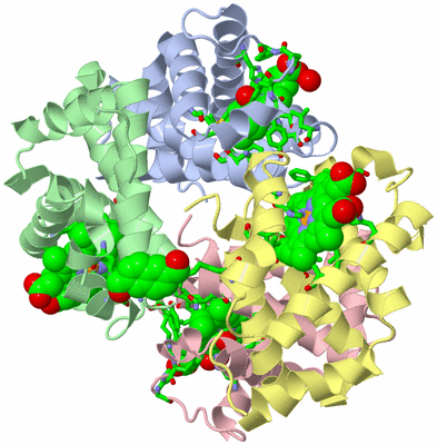 Image Asym./Biol. Unit - sites