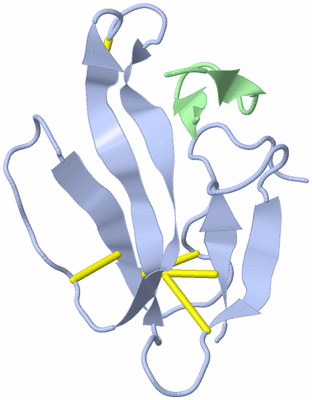 Image NMR Structure - model 1