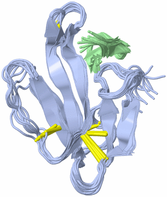 Image NMR Structure - all models