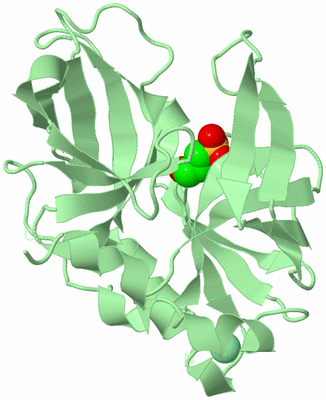 Image Biological Unit 4