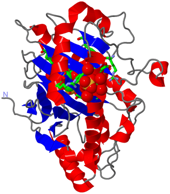 Image Asym./Biol. Unit - sites