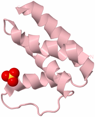 Image Biological Unit 3