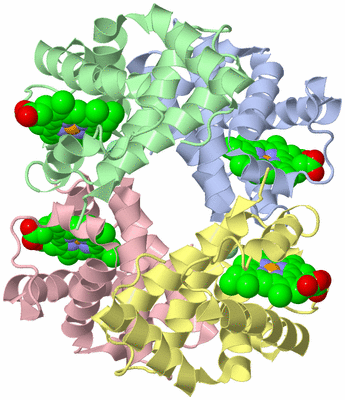 Image Asym./Biol. Unit