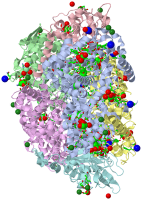 Image Asym./Biol. Unit - sites