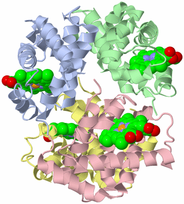 Image Biological Unit 1