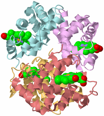 Image Biological Unit 2