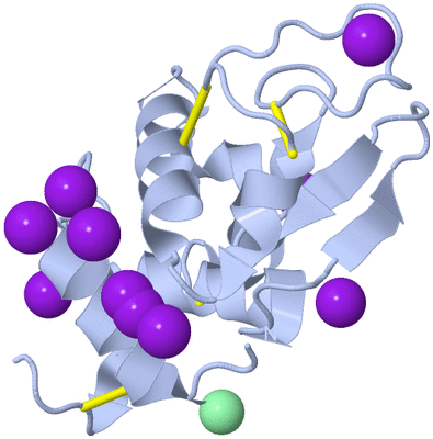 Image Biological Unit 1