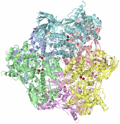 Image Asym./Biol. Unit