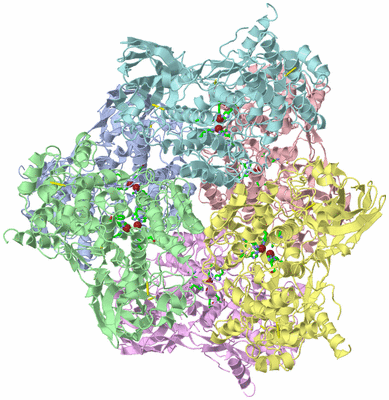 Image Asym./Biol. Unit - sites