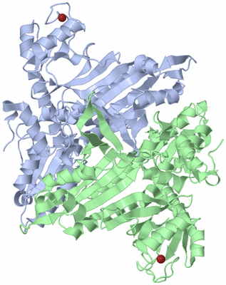 Image Biological Unit 1