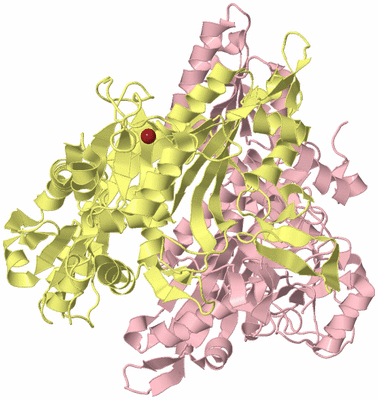 Image Biological Unit 2