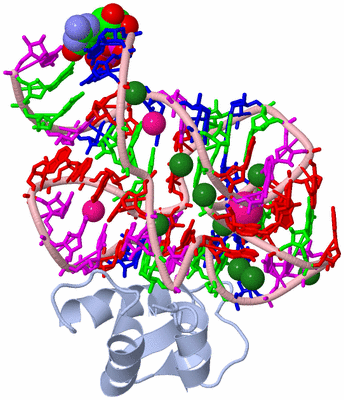 Image Biological Unit 1