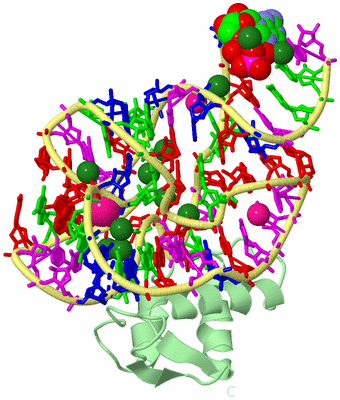 Image Biological Unit 2