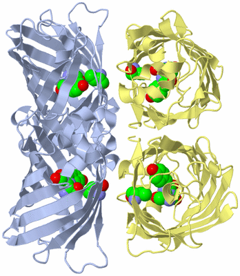 Image Biological Unit 1