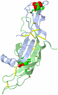 Image Asym. Unit - sites