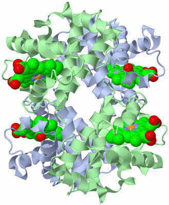 Image Biological Unit 1