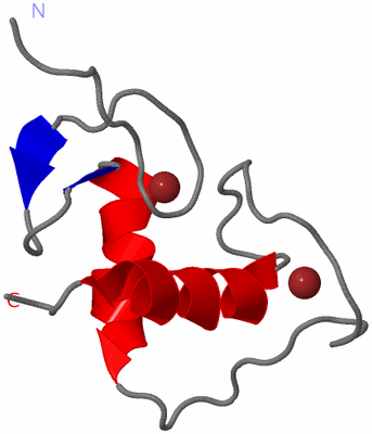 Image NMR Structure - model 1