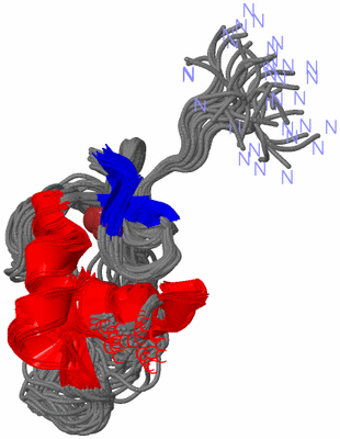 Image NMR Structure - all models