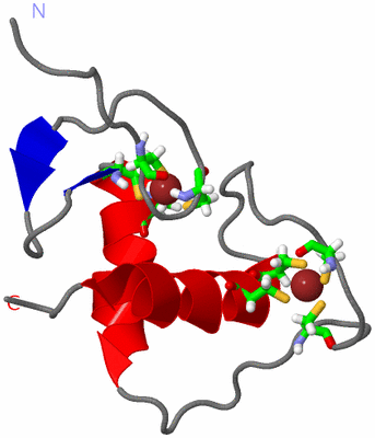 Image NMR Structure - model 1, sites