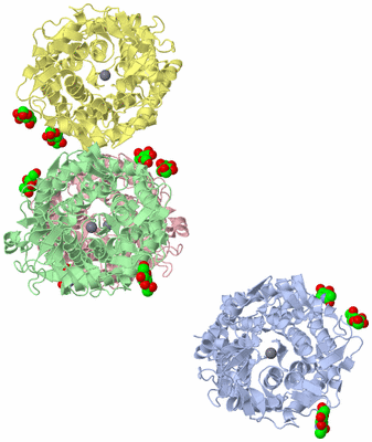 Image Asymmetric Unit