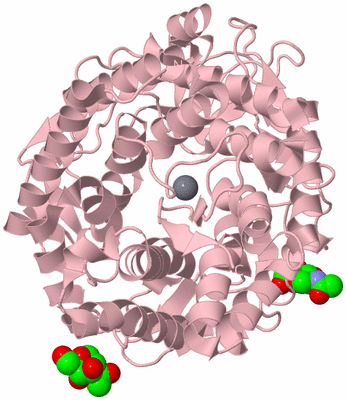 Image Biological Unit 3