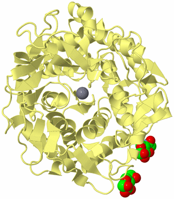 Image Biological Unit 4