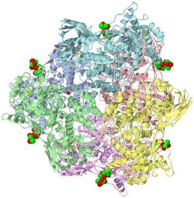 Image Asym./Biol. Unit