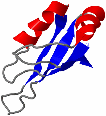 Image NMR Structure - all models