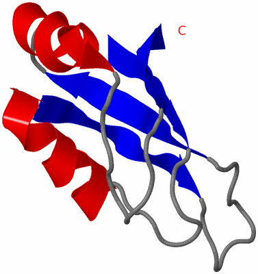 Image NMR Structure - model 1