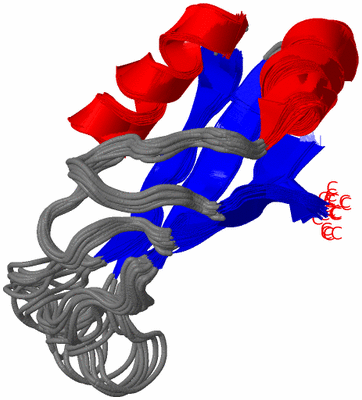 Image NMR Structure - all models