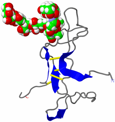 Image NMR Structure - model 1