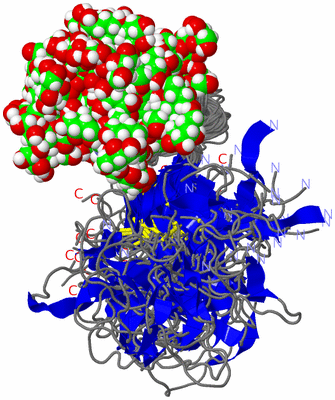 Image NMR Structure - all models