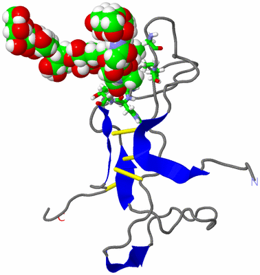 Image NMR Structure - model 1, sites