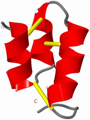 Image NMR Structure - model 1