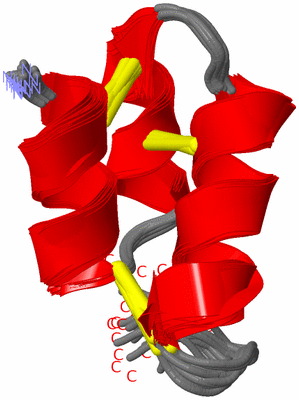 Image NMR Structure - all models