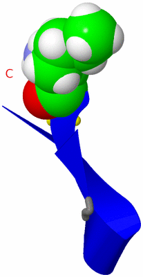 Image NMR Structure - model 1