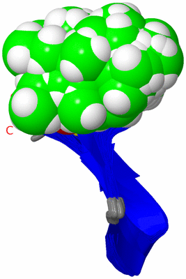 Image NMR Structure - all models