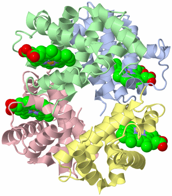 Image Asym./Biol. Unit