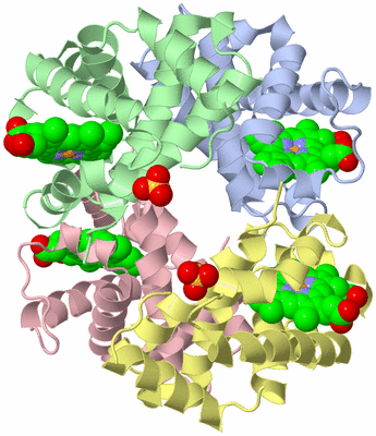 Image Asym./Biol. Unit