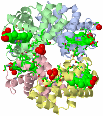 Image Asym./Biol. Unit - sites